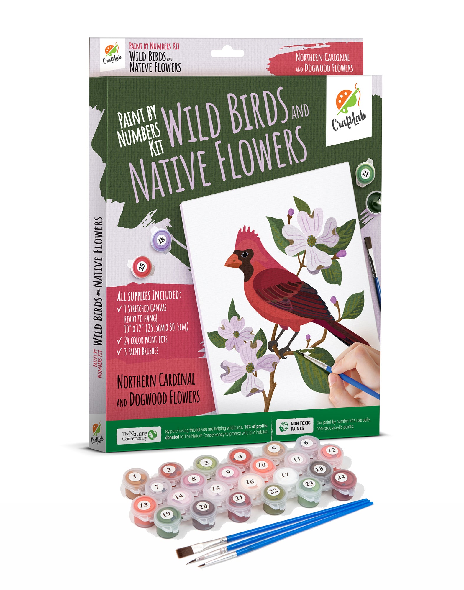 Paint By Numbers Kit for Beginners Adults & Teens, Stretched Canvas 10 x 12 inch - Wild Birds & Native Flowers