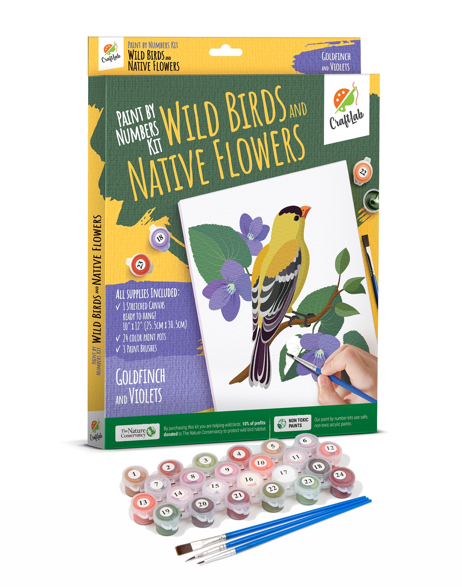 Paint By Numbers Kit for Beginners Adults & Teens, Stretched Canvas 10 x 12 inch - Wild Birds & Native Flowers