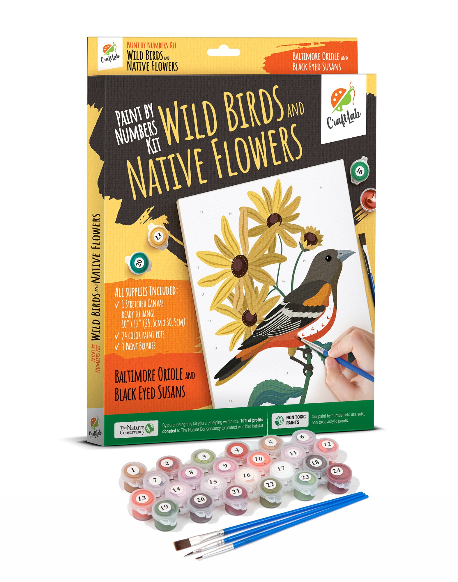 Paint By Numbers Kit for Beginners Adults & Teens, Stretched Canvas 10 x 12 inch - Wild Birds & Native Flowers